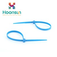 high quality Yueqing Good Reputation Customized High Quality Nylon Cable Tie With Label from hongxiang